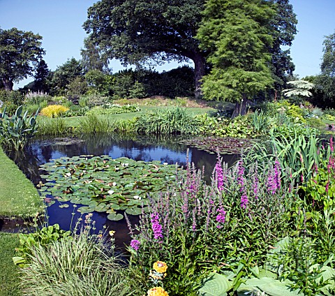 THE_WATER_GARDENS_AT_BETH_CHATTO_GARDENS