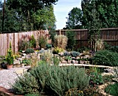 NEW GARDEN IN DEVELOPMENT 3 AUGUST SUMMER. VIEW ACROSS THE GARDEN TO POND AND ROCKERY.