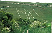 THE LONG MAN,  WILMINGTON ON CHALK HILL OF SOUTH DOWNS