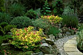 ROCK GARDEN SCENE WITH SPIRAEA JAPONICA CANDLELIGHT IN FOREGROUND