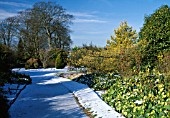 WAKEHURST PLACE,  ROYAL BOTANIC GARDENS WINTER