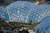 TROPICAL AND TEMPERATE BIOMES AT THE EDEN PROJECT