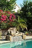 GARDEN AND SWIMMING POOL IN PALM DESERT,  CALIFORNIA,  FICUS BENJAMINA AND BOUGANVILLEA