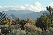 DESERT GARDEN SCENE, LIVING DESERT ZOO,  CALIFORNIA