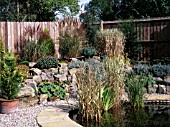 GARDEN SCENE WITH ROCKERY AND POND,  SEPTEMBER