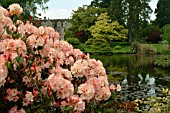 RHODODENDRON LEMS CAMEO,  VIEW OF MANSION AND LAKE