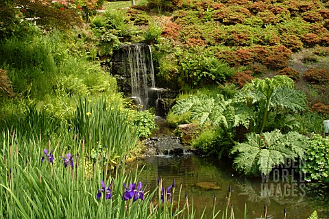 WATERFALL__WITH_IRIS_SIBERICA_CAESAR__WAKEHURST_PLACE