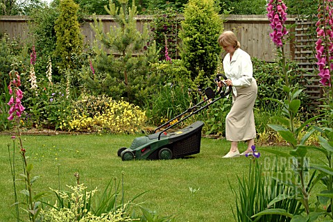 MOWING_THE_LAWN