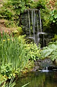 WATERFALL (WAKEHURST PLACE,  WEST SUSSEX)