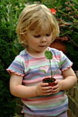 CHILD WITH ECHINACEA SEEDLING