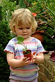 TWO YEAR OLD CHILD WITH ECHINACEA SEEDLING