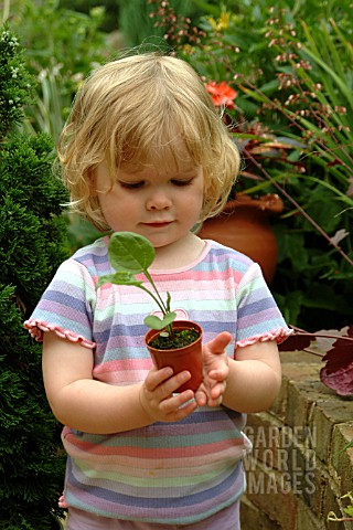 TWO_YEAR_OLD_CHILD_WITH_ECHINACEA_SEEDLING