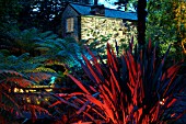 MULTICOLOURED LIGHTS IN GARDEN  (ABBOTSBURY,  DORSET)