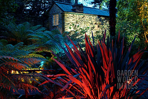 MULTICOLOURED_LIGHTS_IN_GARDEN__ABBOTSBURY__DORSET