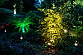 LIGHTS IN GARDEN  (ABBOTSBURY,  DORSET)