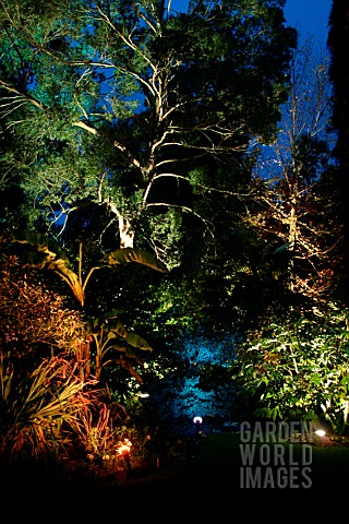 LIGHTS_IN_GARDEN__ABBOTSBURY__DORSET