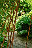 SCENE IN JAPANESE GARDEN AT STAPEHILL ABBEY,  DORSET,  SEPTEMBER