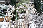 SMALL GARDEN UNDER SNOW