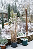 SMALL GARDEN UNDER SNOW WITH BIRD FEEDER