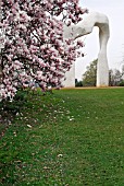 HENRY MOORES THE ARCH WITH MAGNOLIA X SOULANGEANA IN FOREGROUND AT RHS WISLEY: APRIL