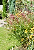 BORDER WITH MISCANTHUS SINENSIS FERNE OSTEN