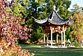 THE CHINESE PAVILION WITH,  AT LEFT OF PICTURE,  LIQUIDAMBAR STYRACIFLUA,  RHS WISLEY: NOVEMBER