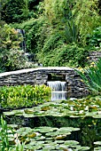 SCENE IN THE WATER GARDENS AT KNOLL GARDENS,  HAMPRESTON,  DORSET: EARLY JUNE.