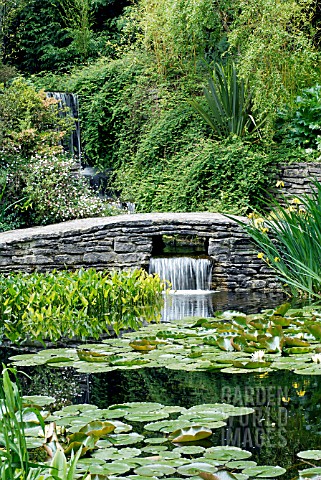 SCENE_IN_THE_WATER_GARDENS_AT_KNOLL_GARDENS__HAMPRESTON__DORSET_EARLY_JUNE