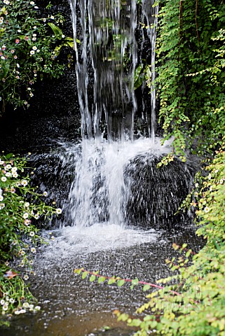WATERFALL_IN_THE_WATER_GARDENS_AT_KNOLL_GARDENS__HAMPRESTON__DORSET_EARLY_JUNE