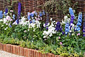 THE THEN AND NOW GARDEN,  HAMPTON COURT PALACE FLOWER SHOW,  JULY 2007.