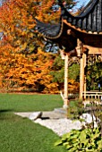 THE CHINESE PAVILION WITH NYSSA SYLVATICA WISLEY BONFIRE,  RHS WISLEY: OCTOBER