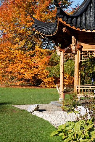 THE_CHINESE_PAVILION_WITH_NYSSA_SYLVATICA_WISLEY_BONFIRE__RHS_WISLEY_OCTOBER