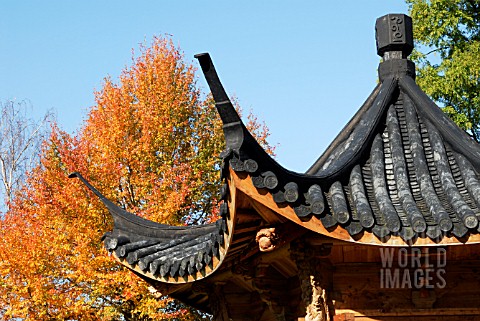 ROOF_OF_THE_CHINESE_PAVILION_WITH_NYSSA_SYLVATICA_WISLEY_BONFIRE_IN_THE_BACKGROUND__RHS_WISLEY_OCTOB