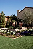 LANDSCAPED FRONT GARDEN WITH ARTIFICIAL TURF ON DEVELOPMENT AT LAKE LAS VEGAS RESORT, HENDERSON, NEVADA