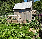 BEATRIX POTTER EXHIBITION,  MR. MCGREGORS GARDEN, HELD AT RHS ROSEMOOR