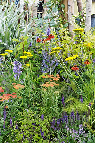 THE_WIDEX_HEARING_GARDEN_CELEBRATING_SOUND_AT_THE_HAMPTON_COURT_PALACE_FLOWER_SHOW_JULY_2008