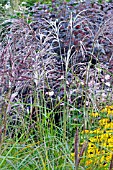 MIXED GRASSES