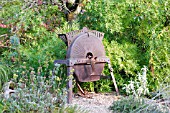 AN OLD CARROT CRUSHER IN THE GRAVEL GARDEN AT KNOLL GARDENS