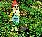 GNOME AT THE GNOME RESERVE