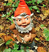 GNOME AT THE GNOME RESERVE