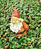 GNOME AT THE GNOME RESERVE