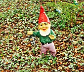 GNOME AT THE GNOME RESERVE