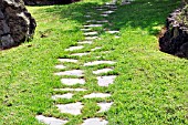 STONE PATH THROUGH GRASS