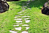 STONE PATH THROUGH GRASS