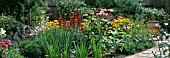 FLOWERBED CONVERTED FROM A GARDEN POND WITH ECHINACEA PURPUREA MAGNUS AND RUDBECKIA GOLDSTURM IN AUGUST