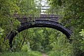 OVERGROWN DISUSED RAILWAY LINE