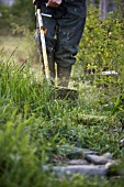 STRIMMING ALLOTMENT