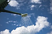 WATERING CAN AGAINST A SUMMER SKY