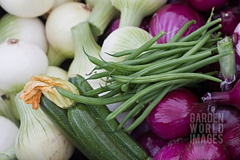 COLLECTION_OF_VEGETABLES_ONIONS__COURGETTE_FRENCH_BEANS