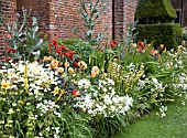 MIXED BORDER AT CHENIES MANOR, BUCKINGHAMSHIRE